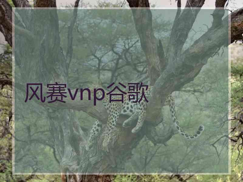 风赛vnp谷歌