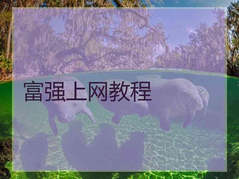 富强上网教程