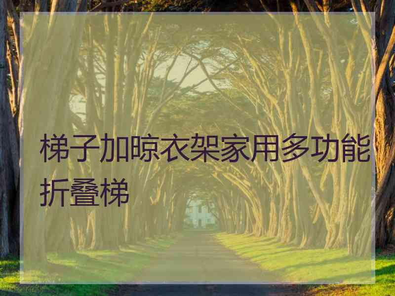 梯子加晾衣架家用多功能折叠梯