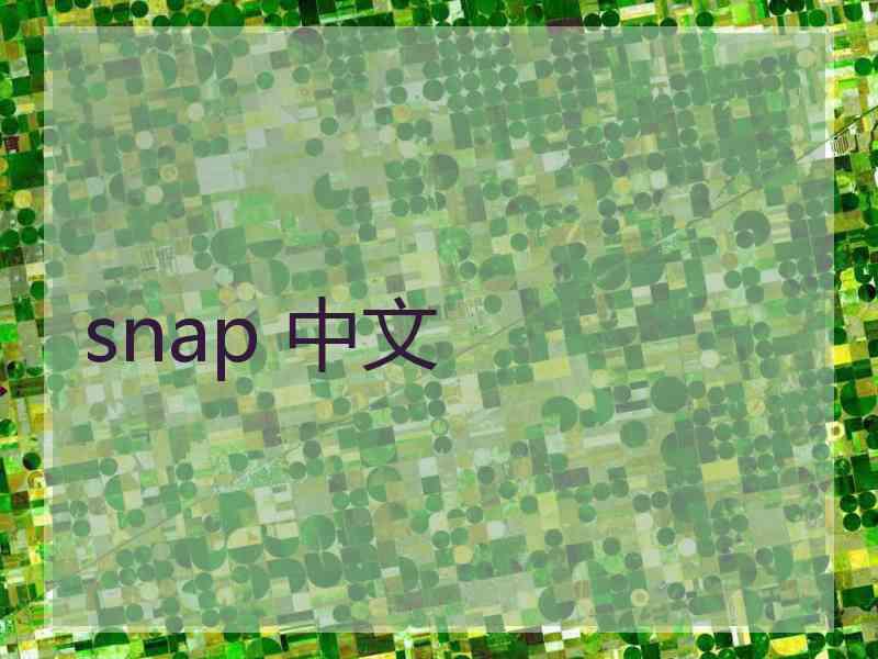 snap 中文