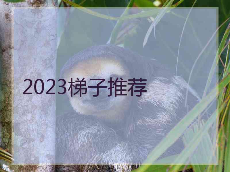 2023梯子推荐