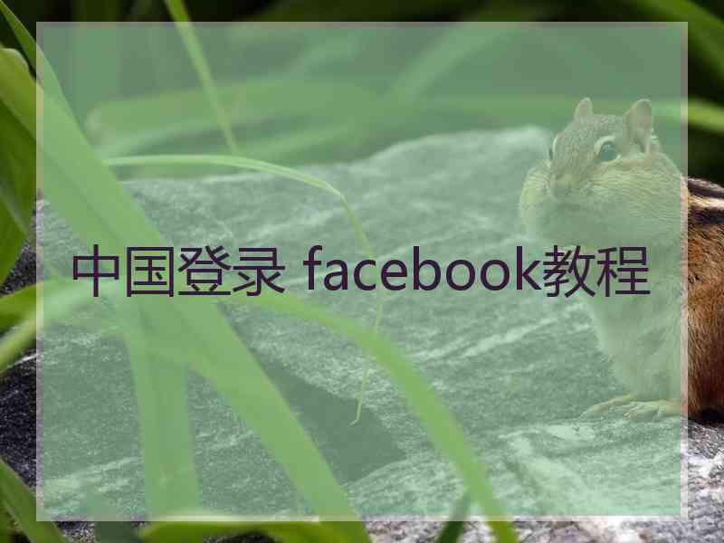 中国登录 facebook教程