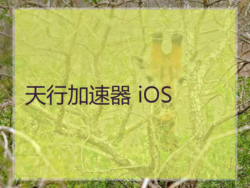 天行加速器 iOS