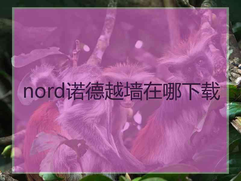 nord诺德越墙在哪下载