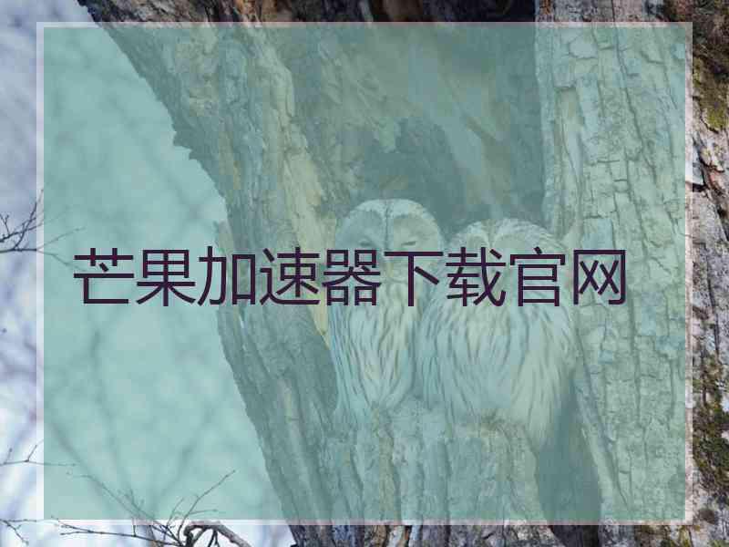 芒果加速器下载官网