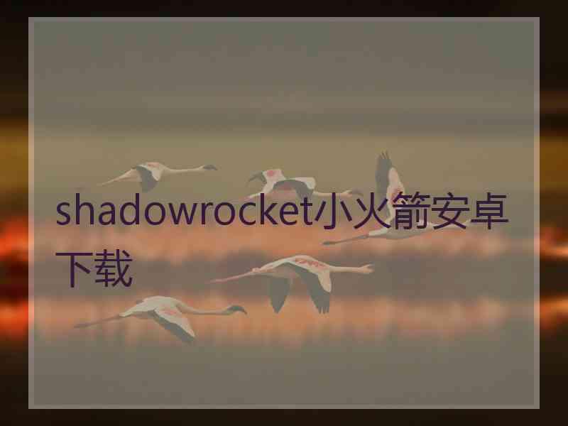 shadowrocket小火箭安卓下载