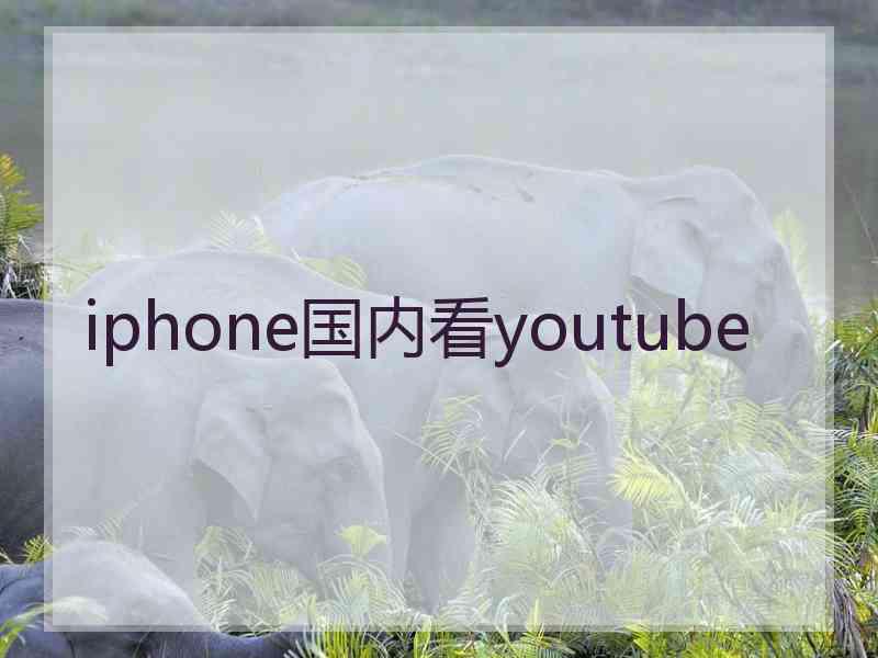 iphone国内看youtube