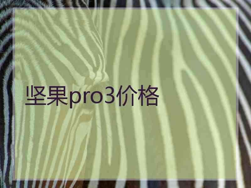 坚果pro3价格